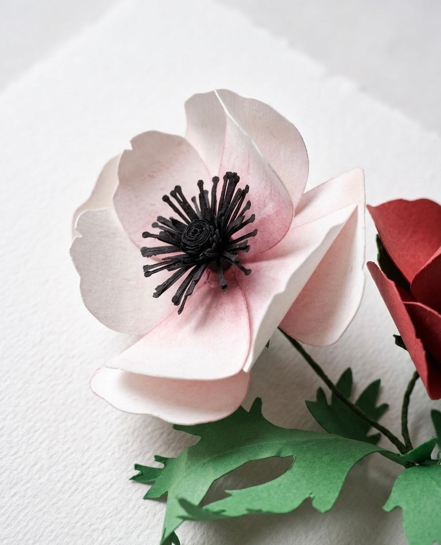 [Premium Edition] Luxury Anemone Paper Flower Set - "Always Grateful" Mother's Day Special